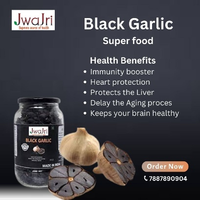 Alunt Agro Garlic Products
